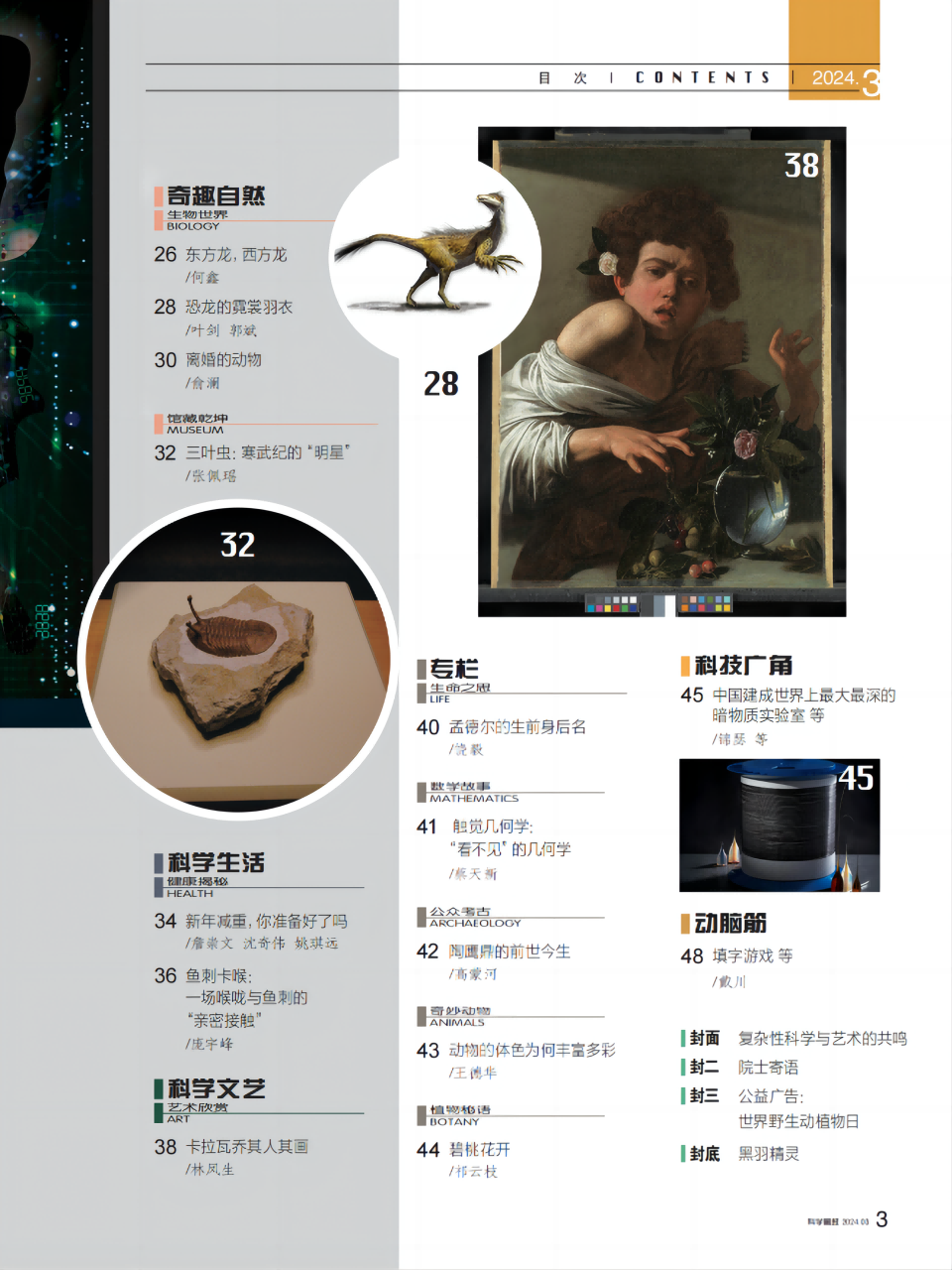 目录