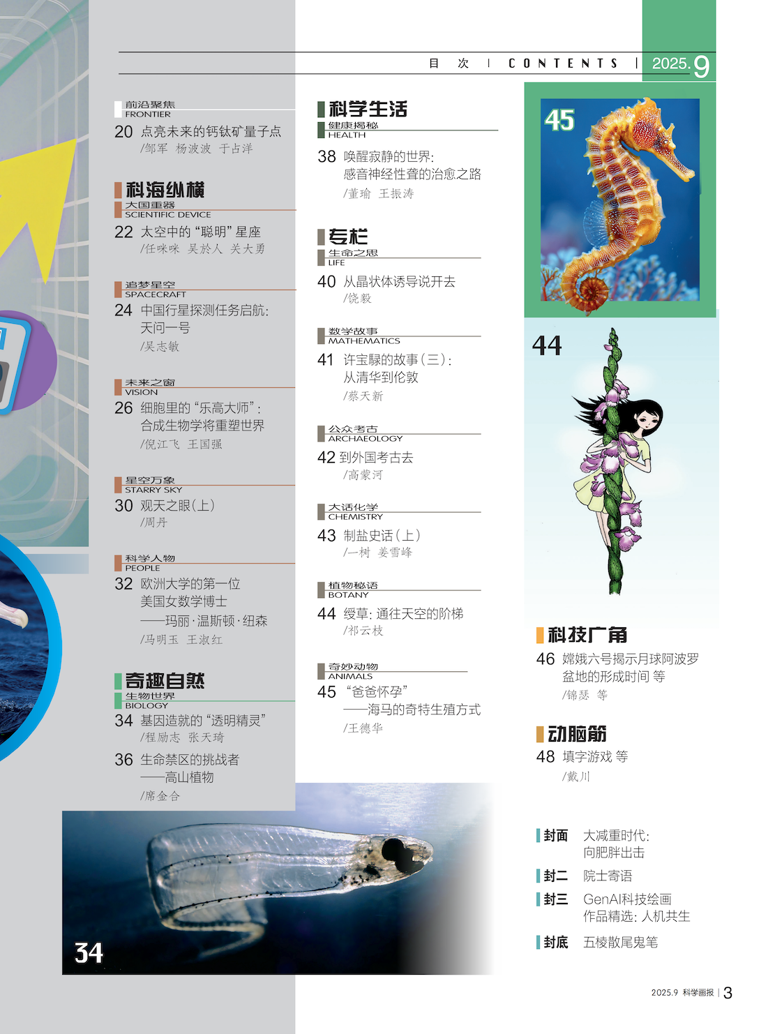 目录